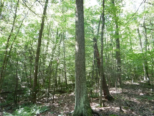 $174,900 | 0 Starks Road, Newfield, NY 14867