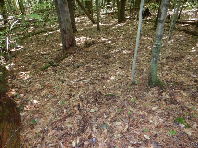 $174,900 | 0 Starks Road, Newfield, NY 14867