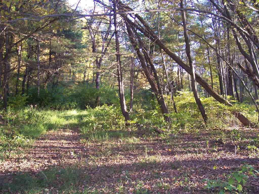 72 Indian Spring Road Catskill, NY 12414 - Photo 4 of 9 Photo 4