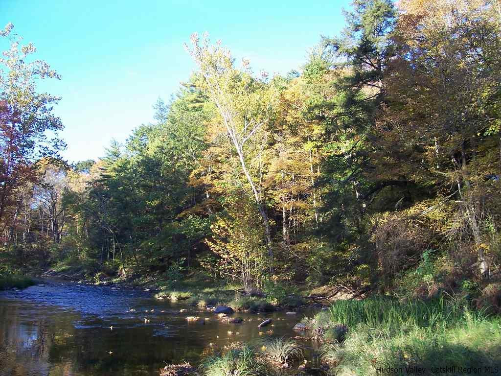 72 Indian Spring Road Catskill, NY 12414 - Photo 5 of 9 Photo 5