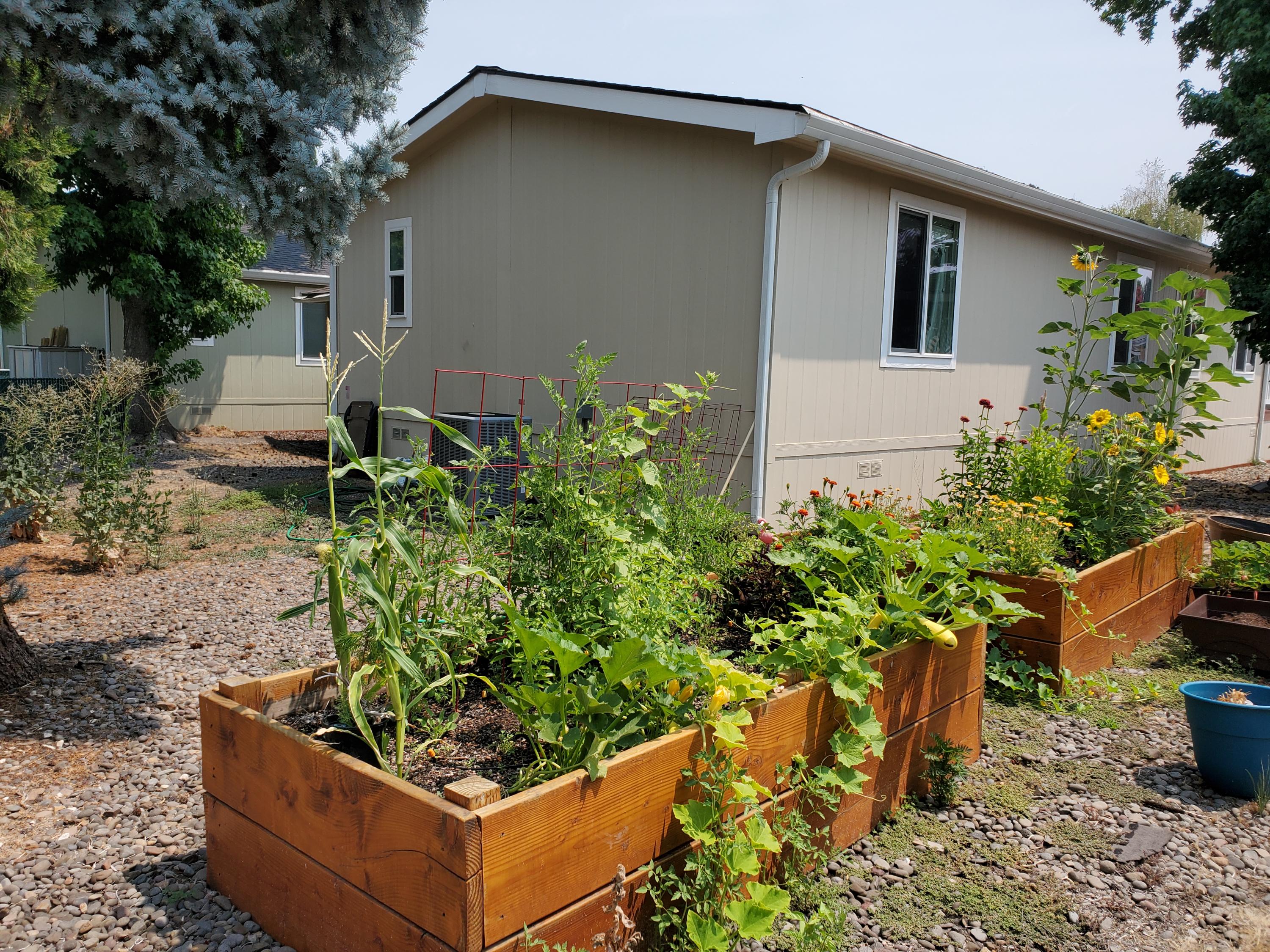 857 Carol Rae Medford, OR 97501 - Photo 17 of 27 Carol Rae garden boxes