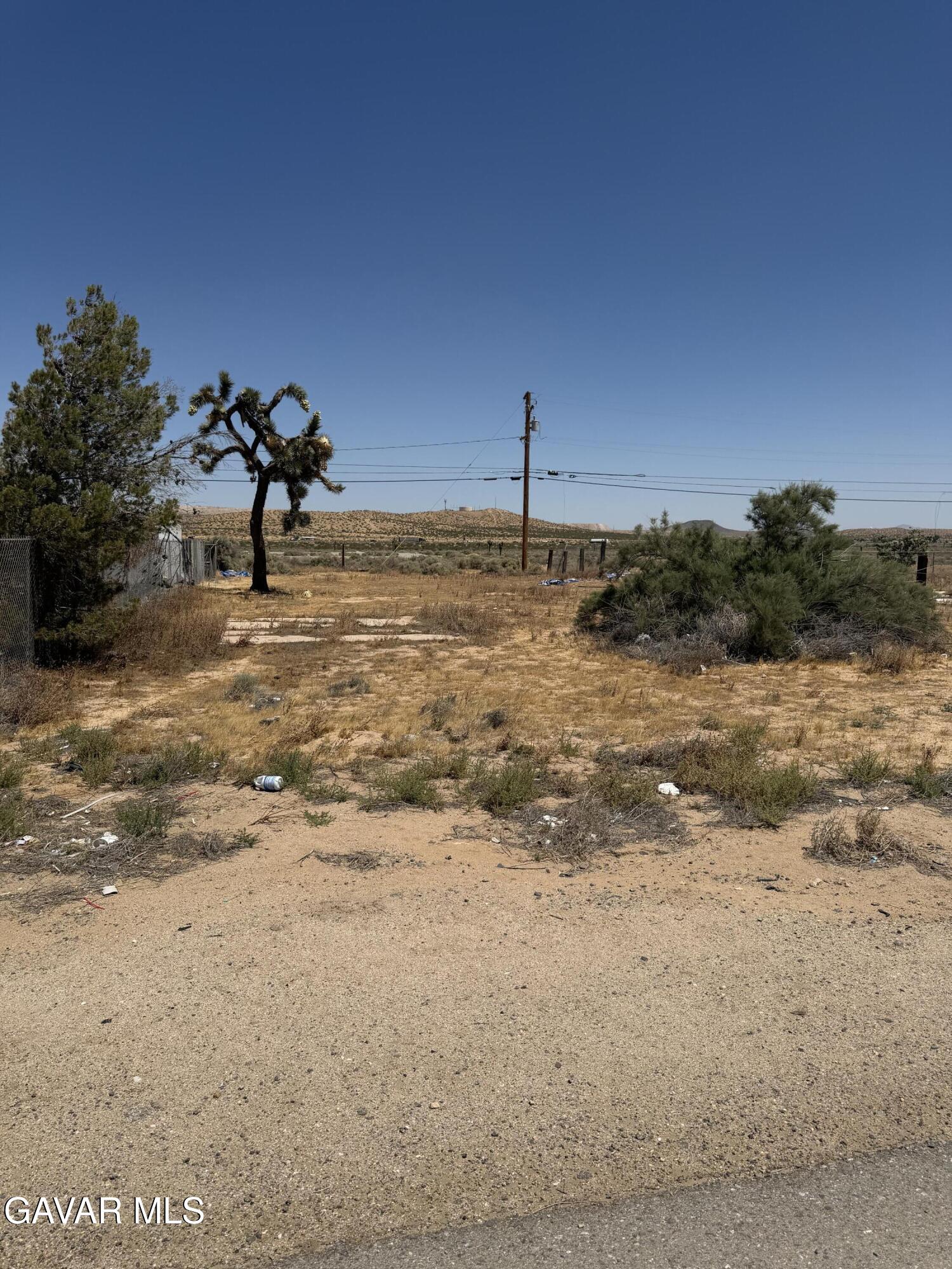 26081 Twenty Mule Team Road Boron, CA 93516 - Photo 3 of 10 IMG_0438