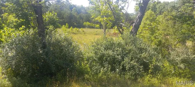 $69,900 | 5199 Hwy North, Robertsville, MO 63072