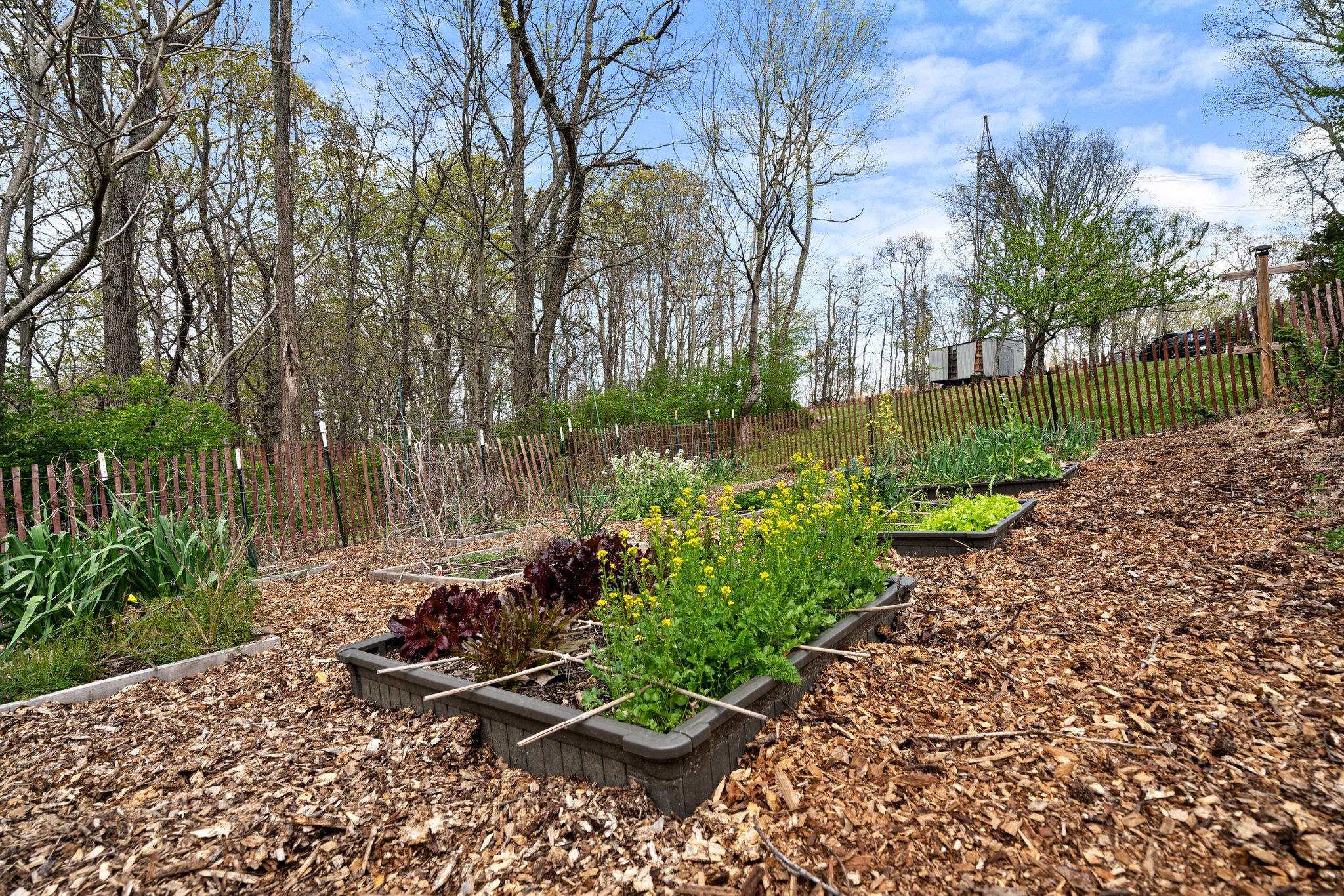 231 East End Road Goodlettsville, TN 37072 - Photo 14 of 23