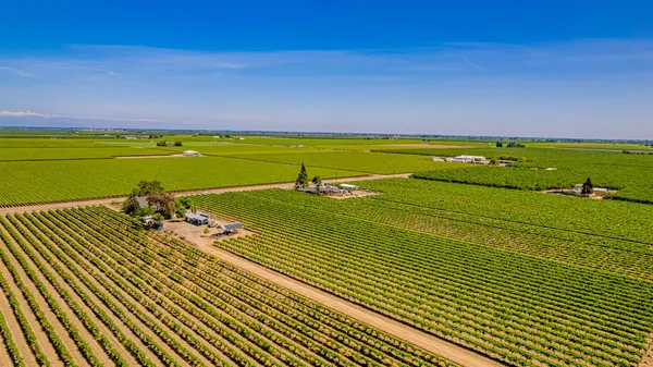 $1,649,000 | 7826 Road 28, Madera, CA 93637