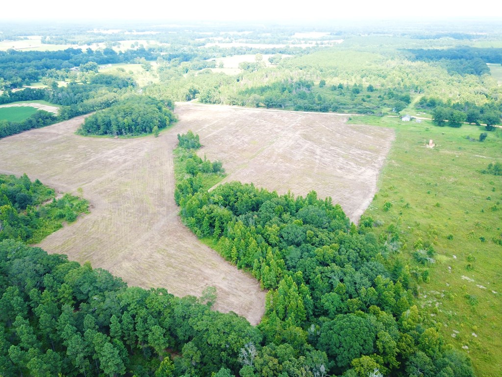 L5 New Hinson Road Slocomb, AL 36375 - Photo 5 of 23