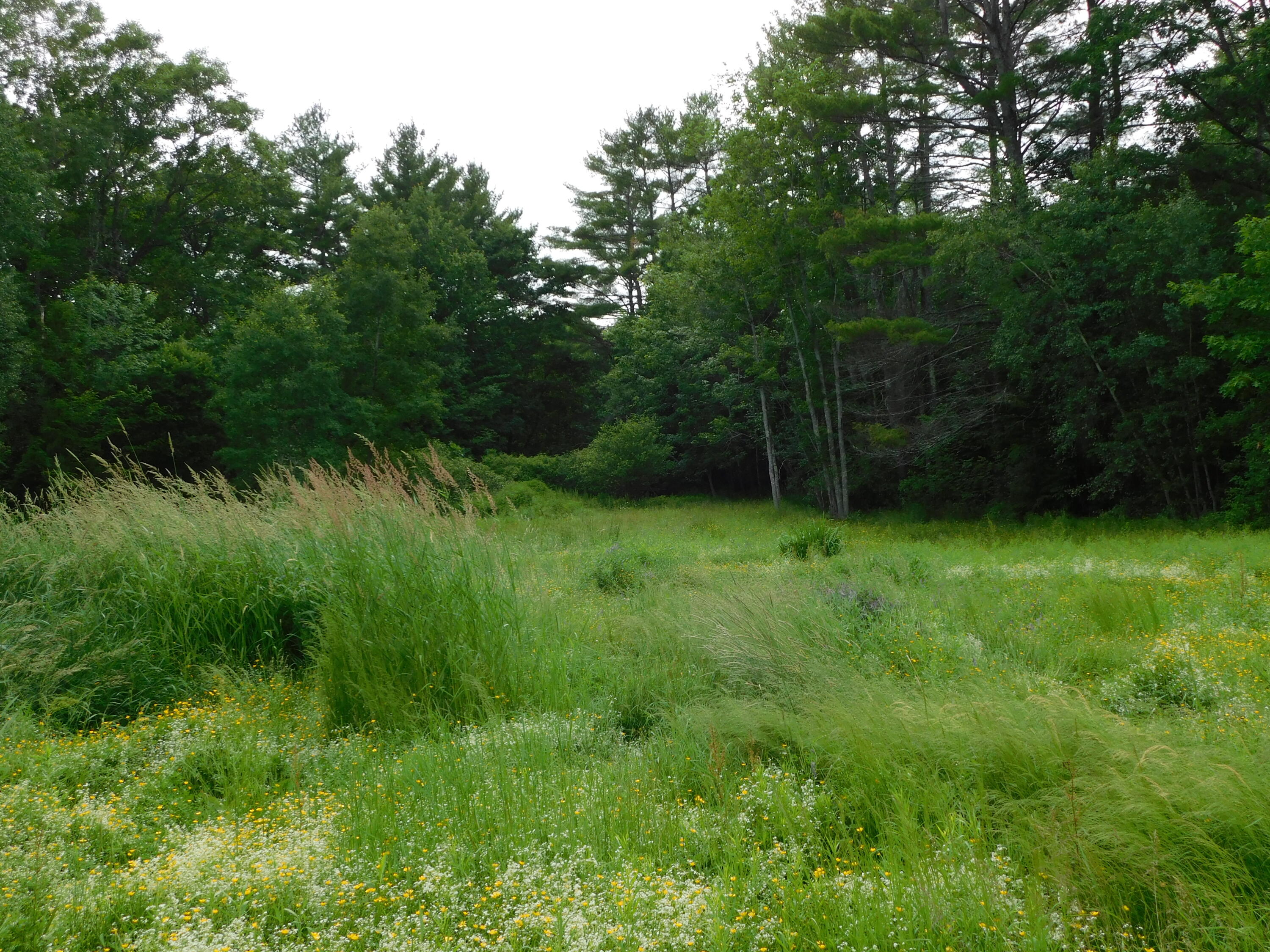 389 South Horseback Road Burnham, ME 04922 - Photo 13 of 16 DSCN4024
