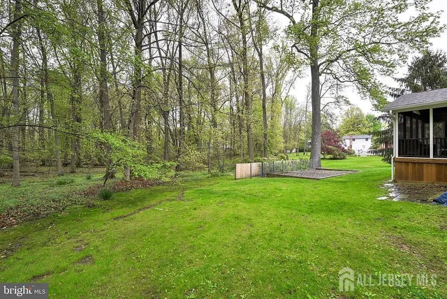 a view of a park with large trees