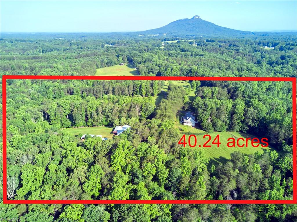 1189 Lane Farm Road Pinnacle, NC 27043 - Photo 3 of 30
