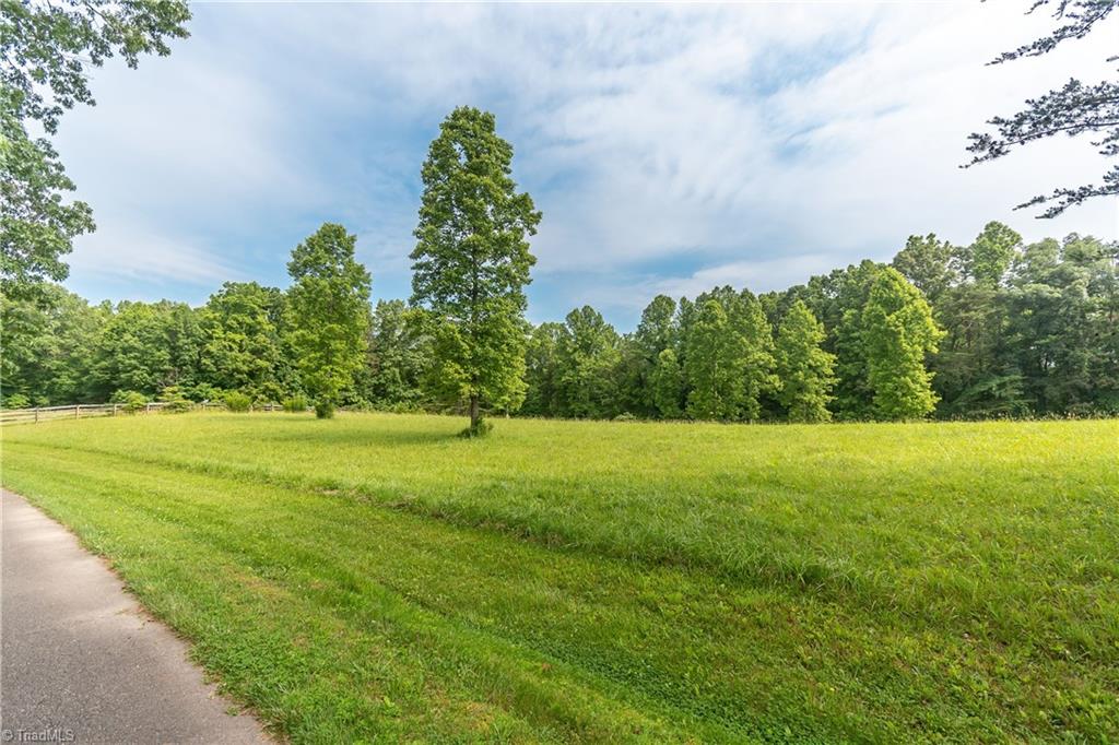 1189 Lane Farm Road Pinnacle, NC 27043 - Photo 22 of 30