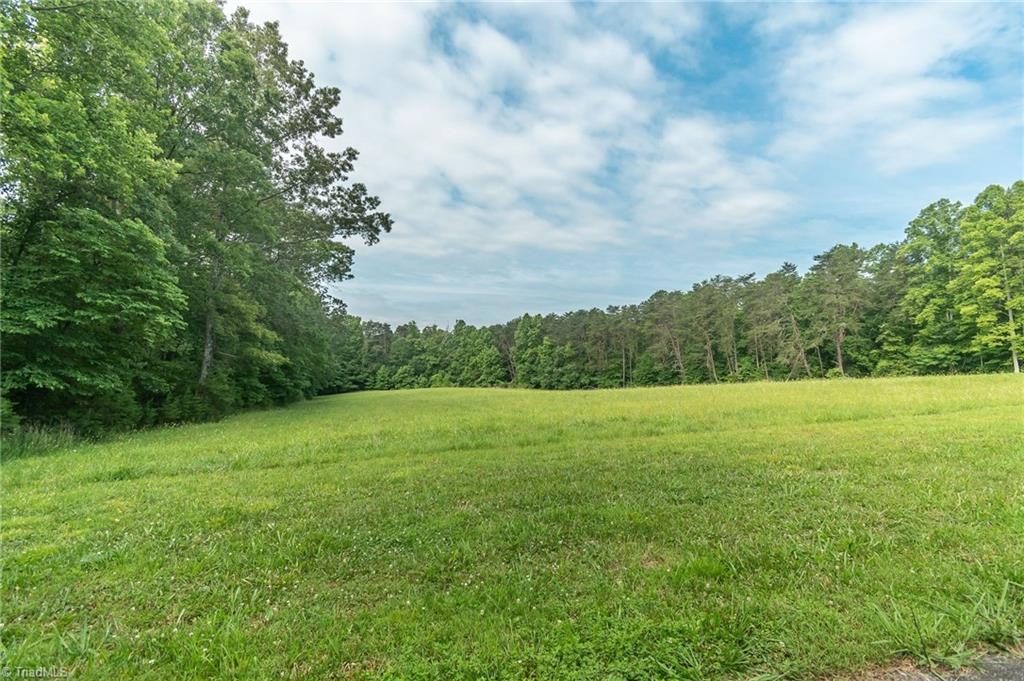 1189 Lane Farm Road Pinnacle, NC 27043 - Photo 7 of 30