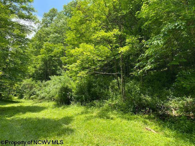 2320 Rinehart Road Wallace, WV 26448 - Photo 3 of 17 Gallery Image 3