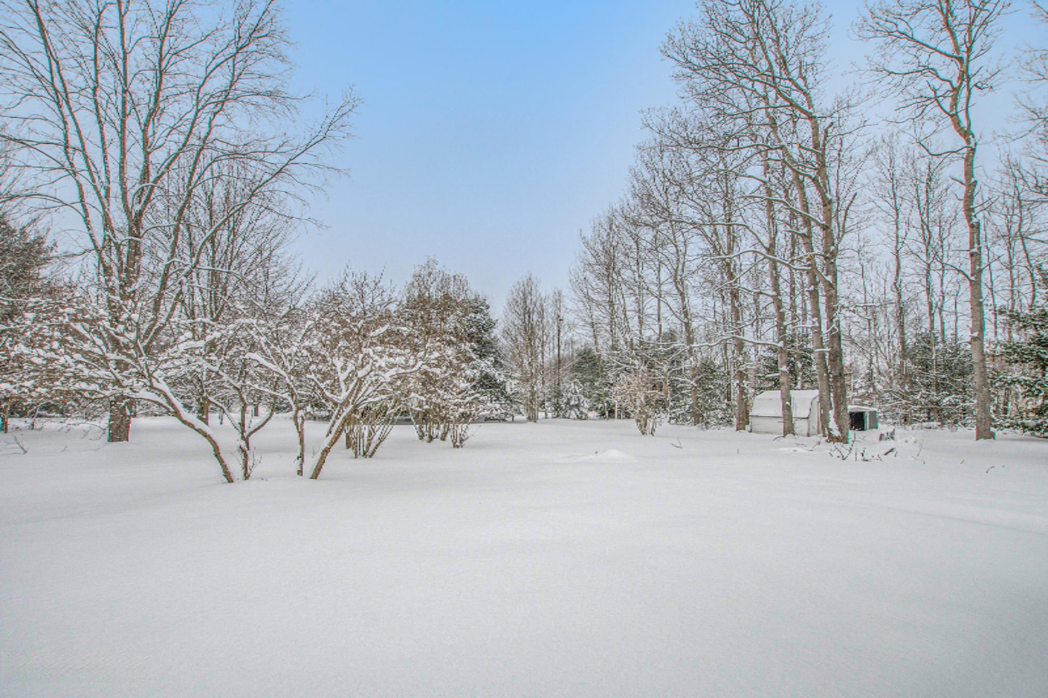 453 North Buys Road Muskegon, MI 49445 - Photo 21 of 22 DSC06543