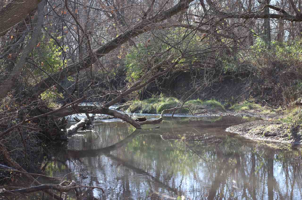 9094 North Hedge Road Byron, IL 61010 - Photo 6 of 25 Gallery Image 6