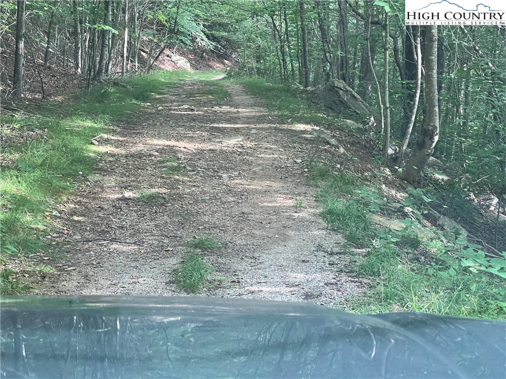 111 Smoketree Road Beech Mountain, NC 28604 - Photo 2 of 9