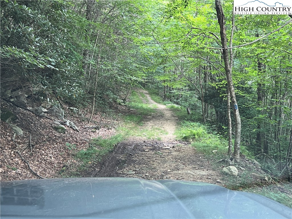 111 Smoketree Road Beech Mountain, NC 28604 - Photo 3 of 9