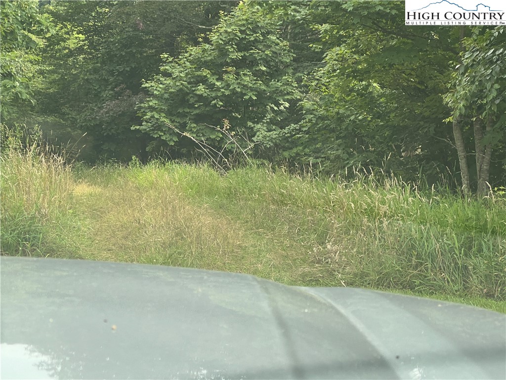 111 Smoketree Road Beech Mountain, NC 28604 - Photo 4 of 9