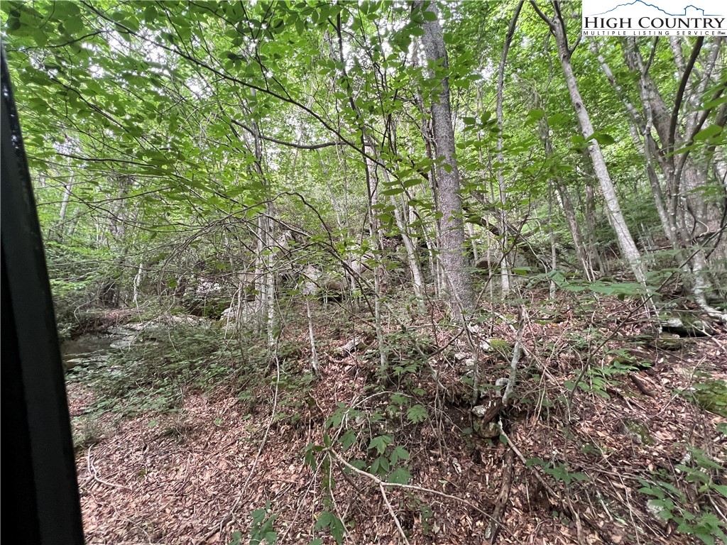 111 Smoketree Road Beech Mountain, NC 28604 - Photo 5 of 9