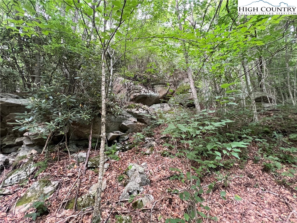 111 Smoketree Road Beech Mountain, NC 28604 - Photo 7 of 9