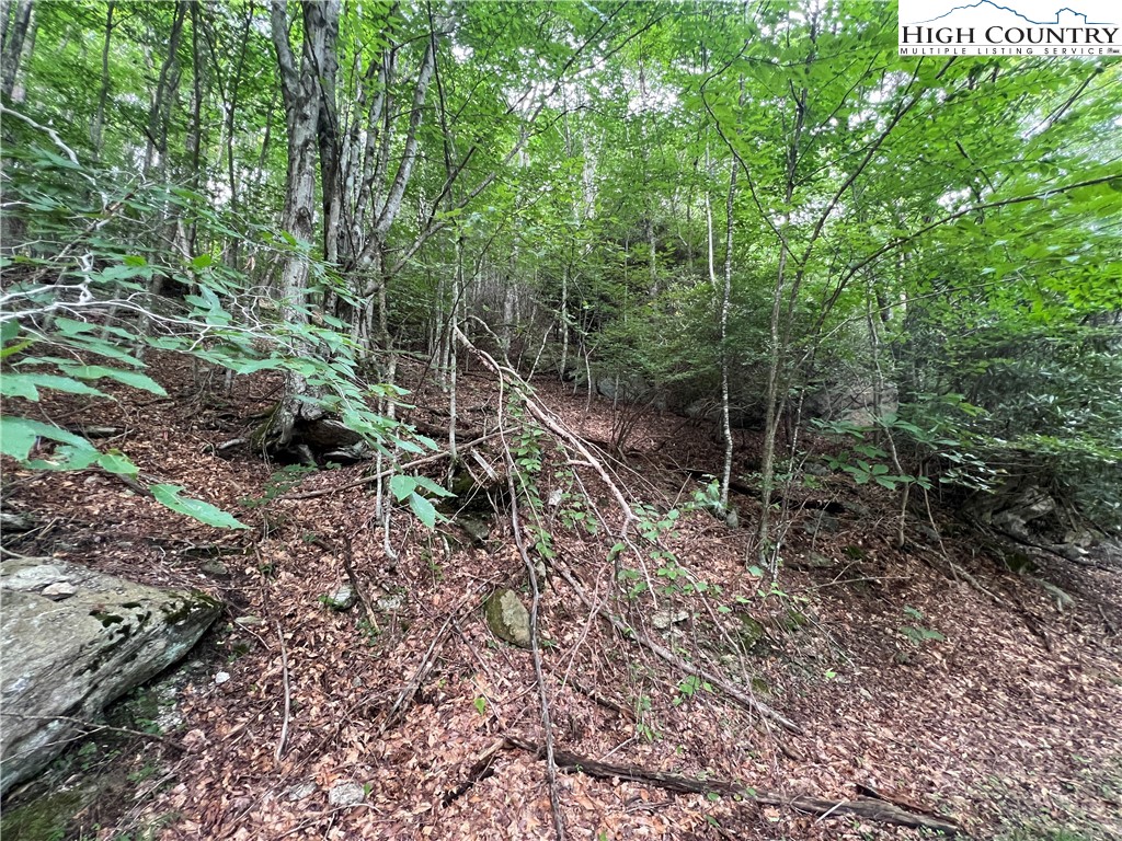 111 Smoketree Road Beech Mountain, NC 28604 - Photo 8 of 9