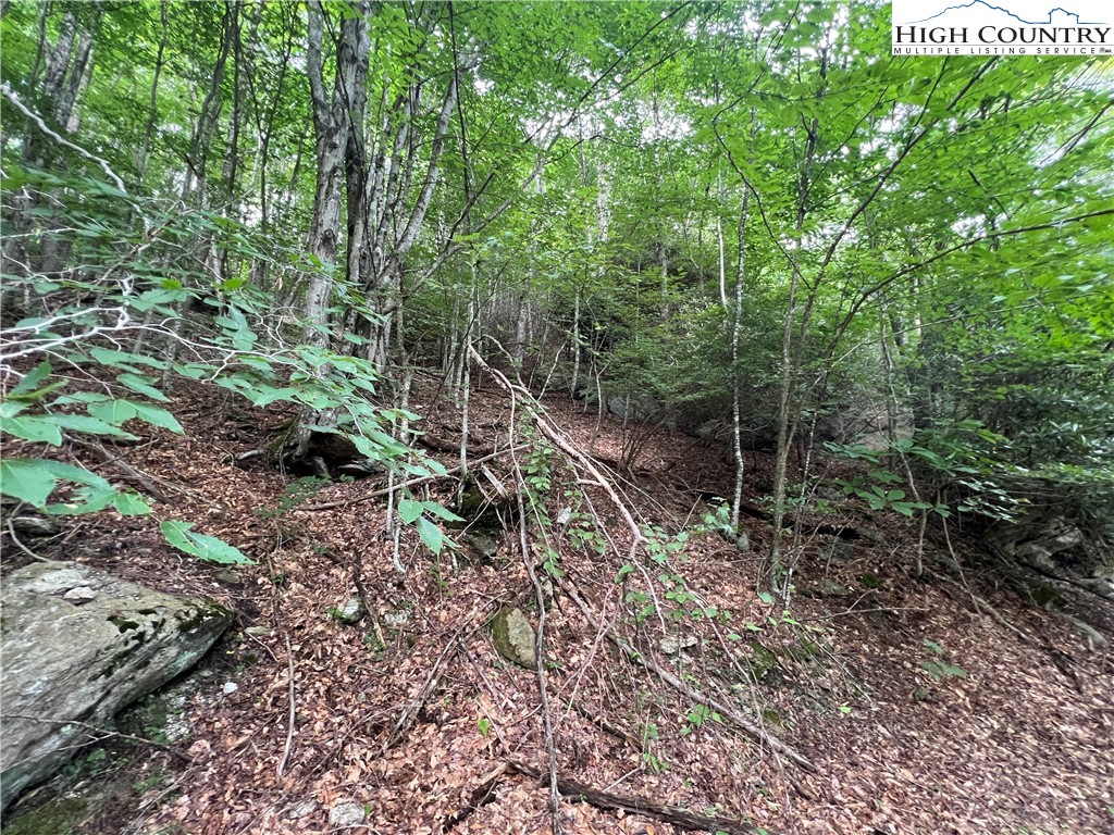 111 Smoketree Road Beech Mountain, NC 28604 - Photo 9 of 9