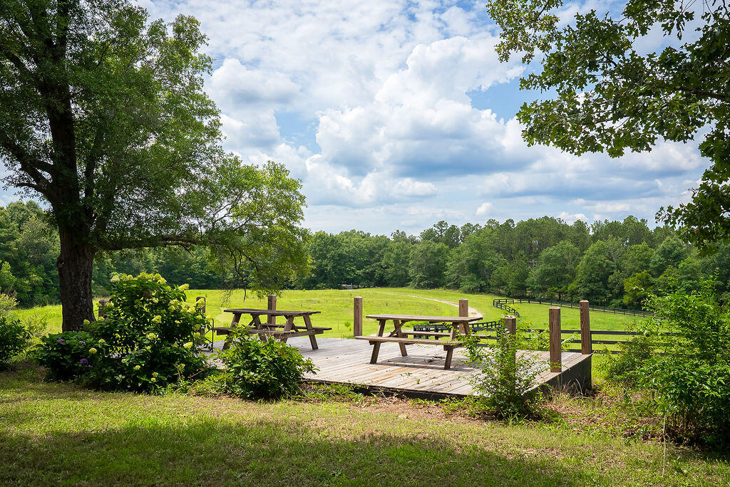 2300 Salley Road Salley, SC 29137 - Photo 94 of 101 Gallery Image 94