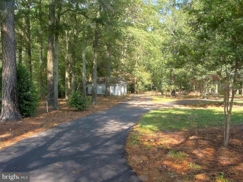 7054 Bent Pine Road Willards, MD 21874 - Photo 14 of 17