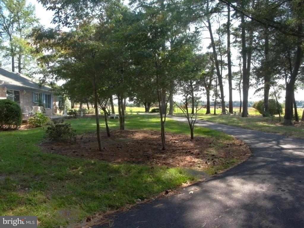 7054 Bent Pine Road Willards, MD 21874 - Photo 15 of 17
