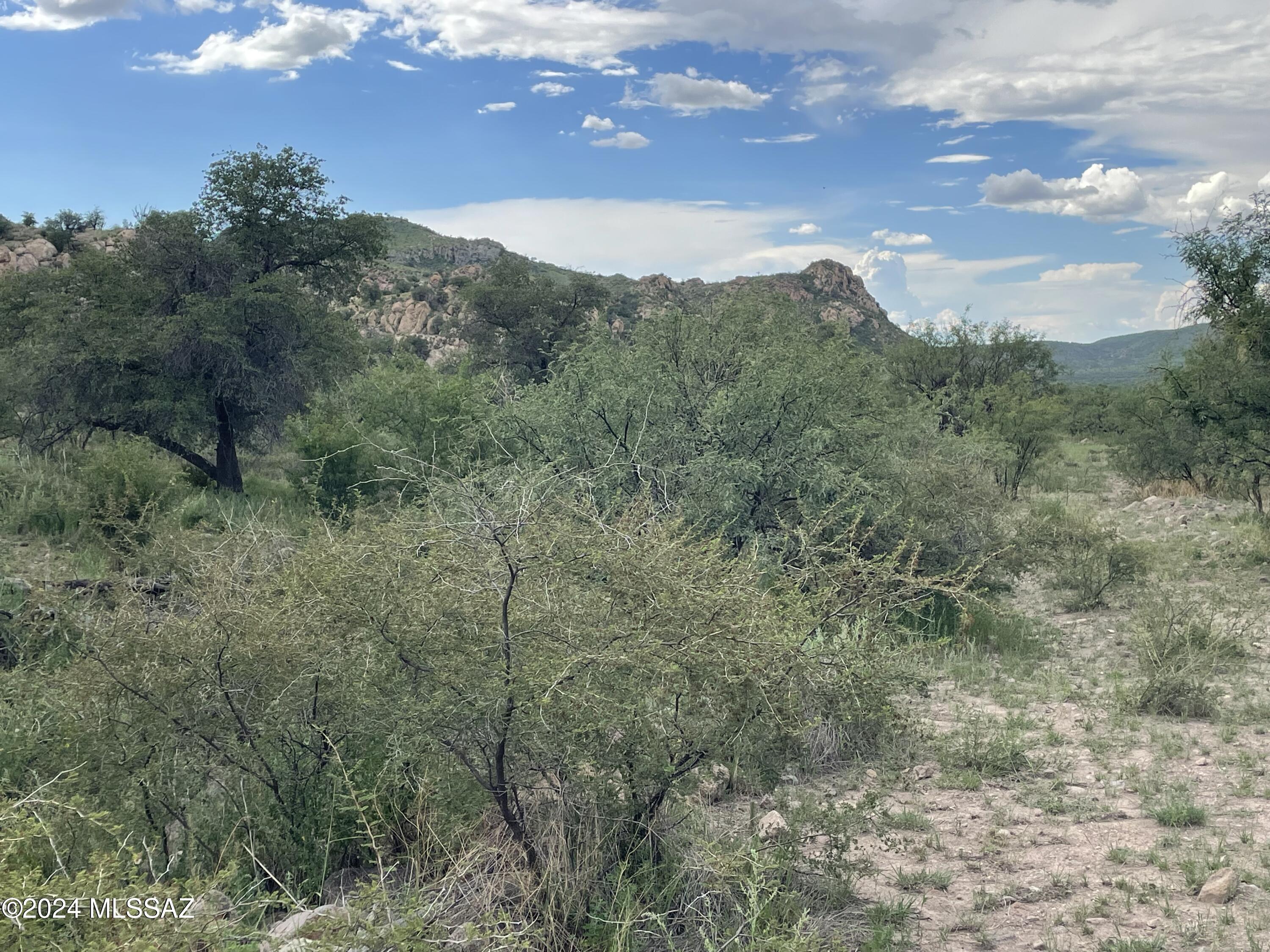 Tbd Tbd Calle De La, Unit 143 5 Rio Rico, AZ 85648 - Photo 10 of 20