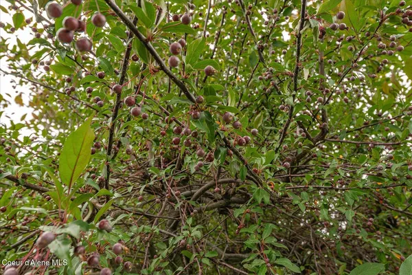 $1,197,900 | 2145 West Grange Avenue, Post Falls, ID 83854