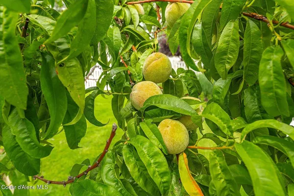 $1,197,900 | 2145 West Grange Avenue, Post Falls, ID 83854