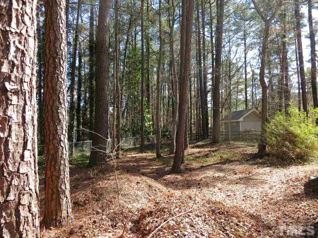 6408 Wynbrook Way Raleigh, NC 27612 - Photo 24 of 25 a backyard of a house with lots of trees