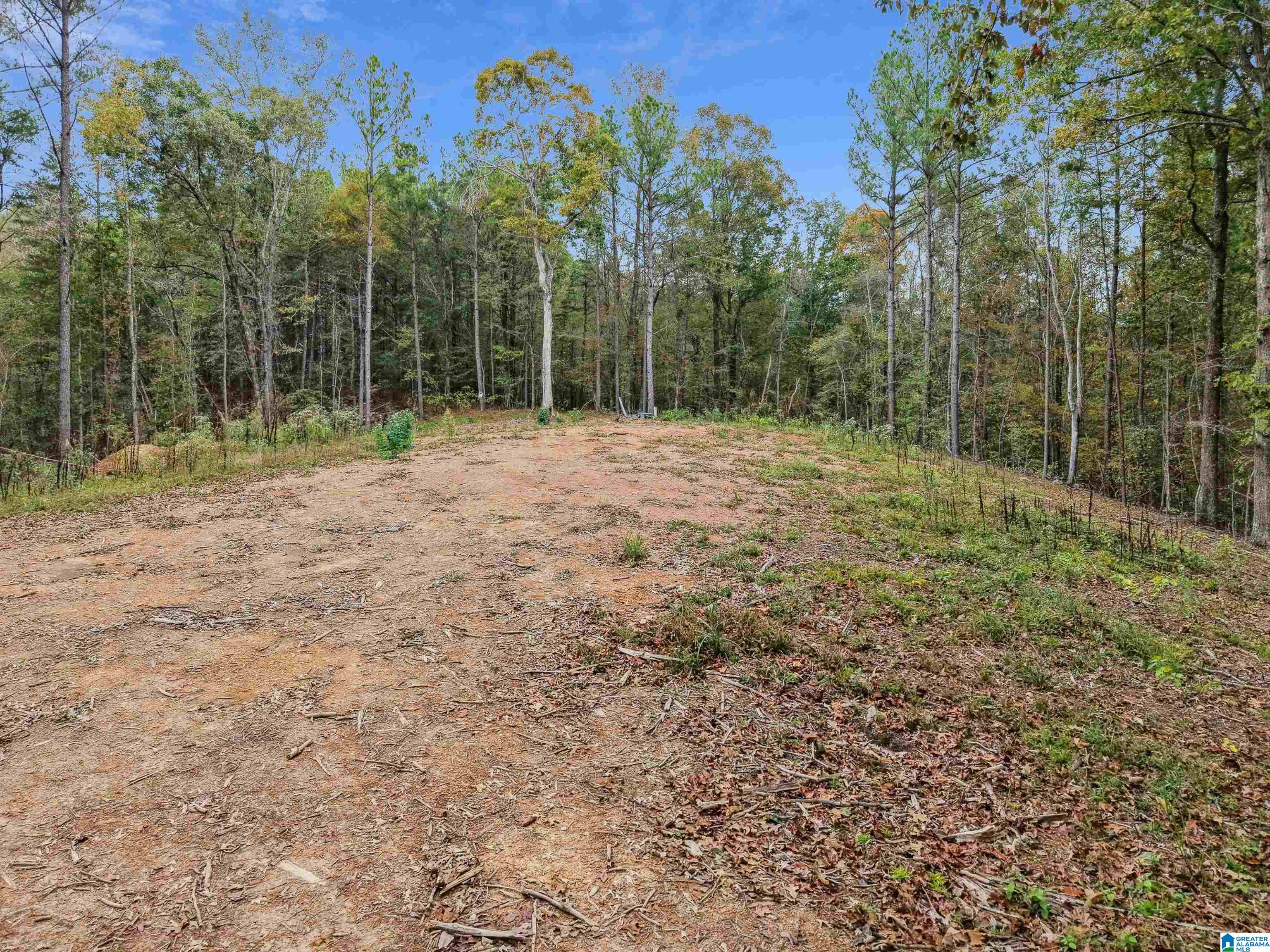 1215 Buddy Vines Camp Road Bessemer, AL 35023 - Photo 2 of 25