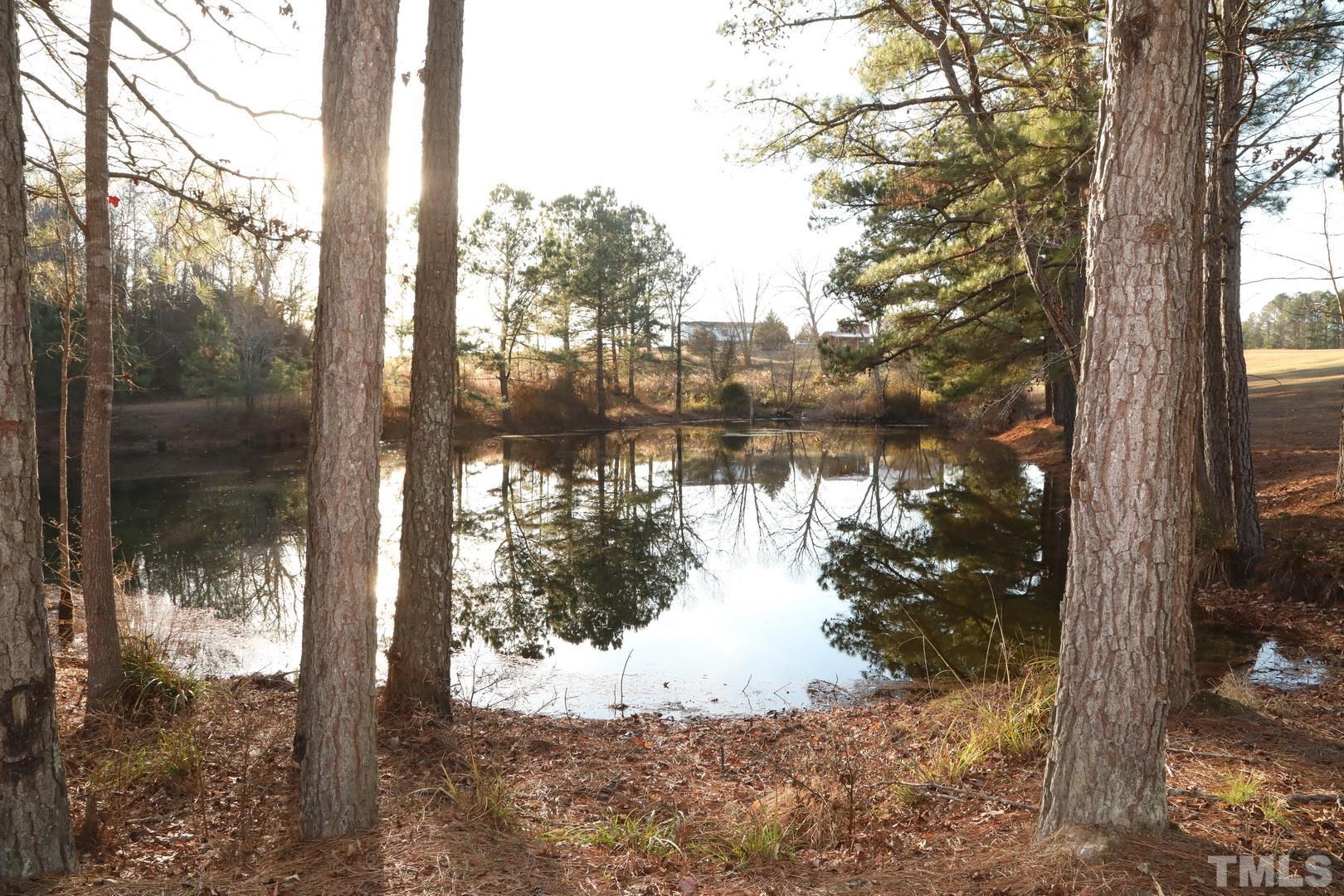 192 Dupree Road Willow Spring, NC 27592 - Photo 11 of 22