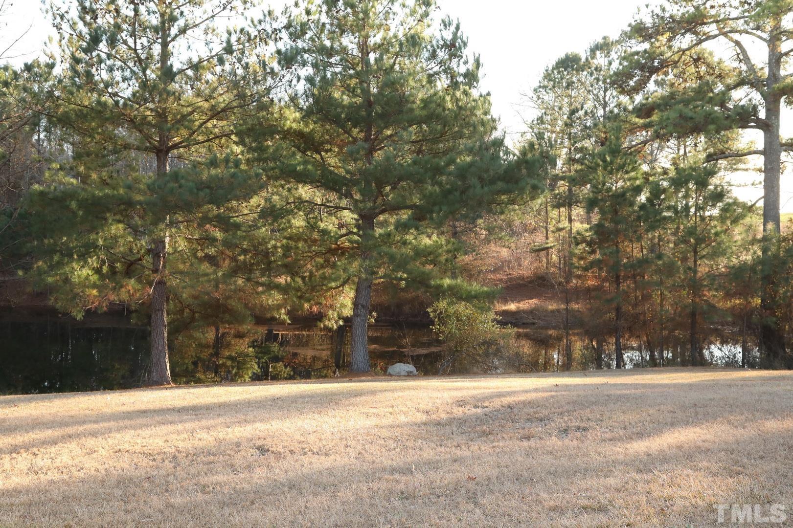 192 Dupree Road Willow Spring, NC 27592 - Photo 12 of 22