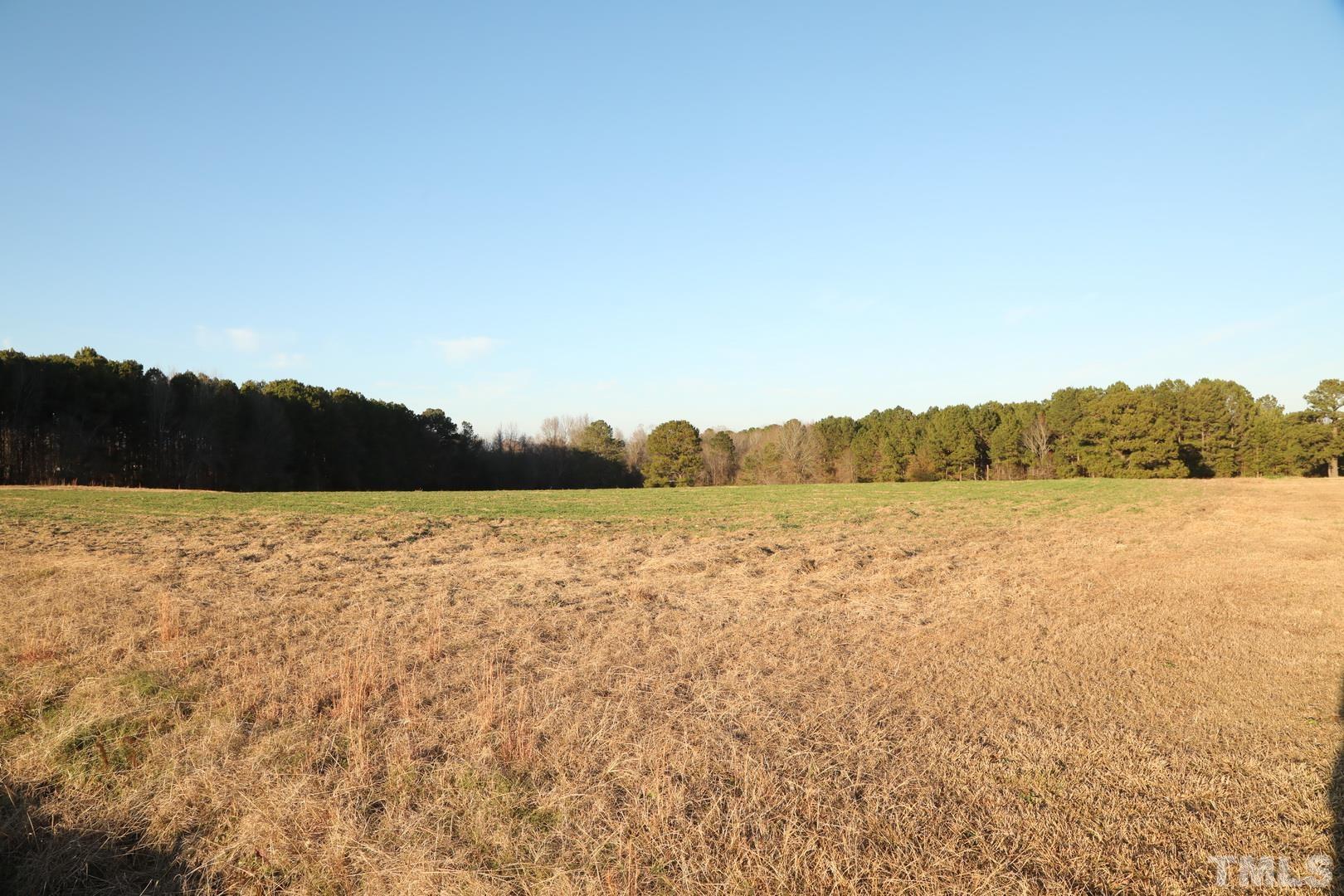 192 Dupree Road Willow Spring, NC 27592 - Photo 15 of 22