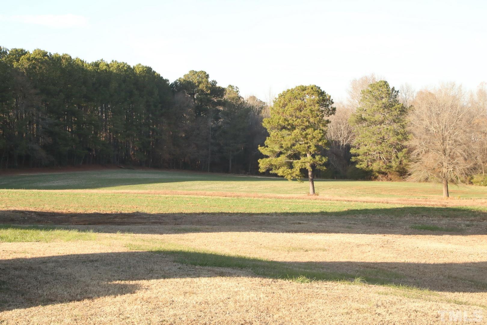 192 Dupree Road Willow Spring, NC 27592 - Photo 3 of 22