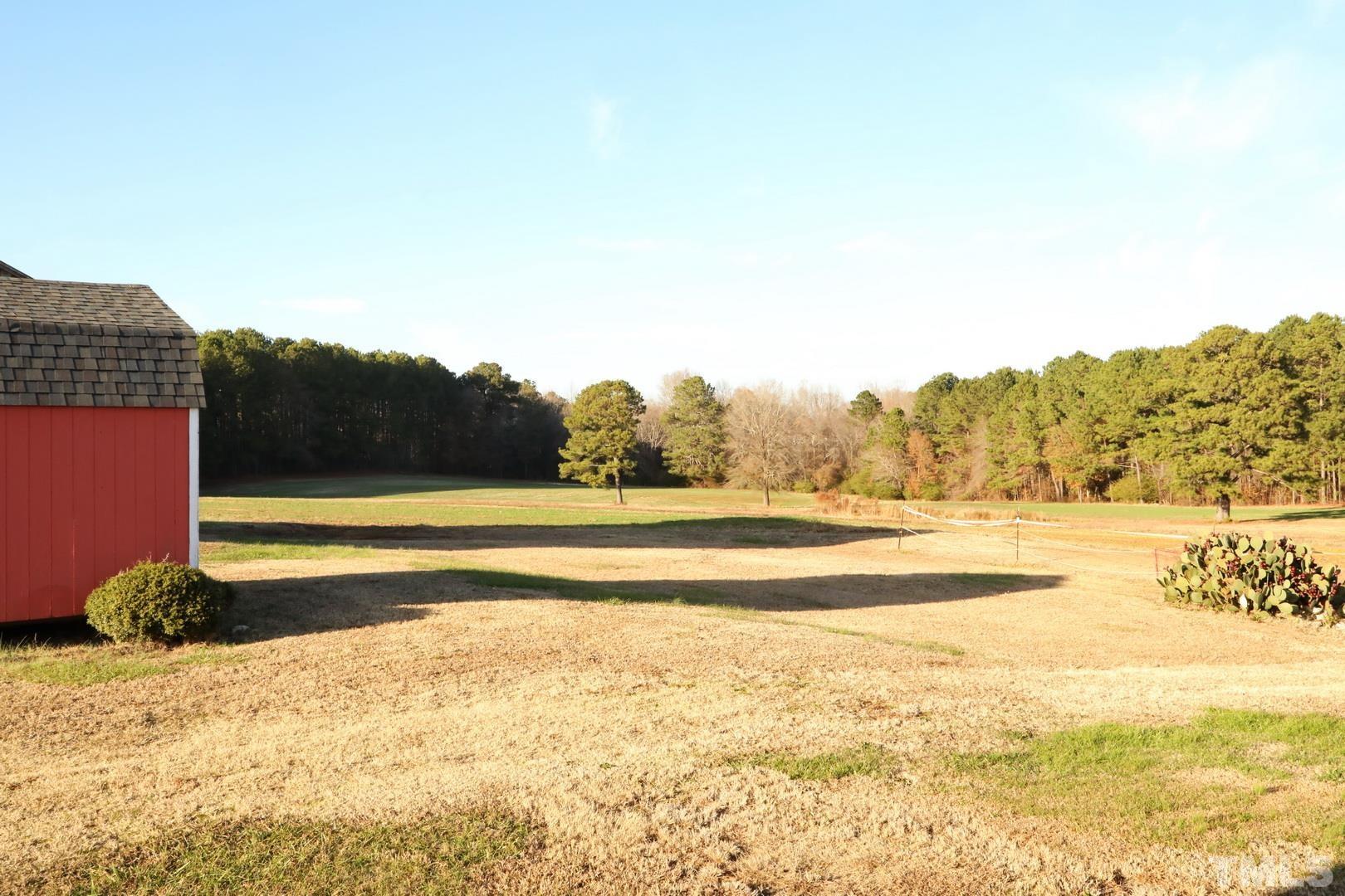 192 Dupree Road Willow Spring, NC 27592 - Photo 4 of 22