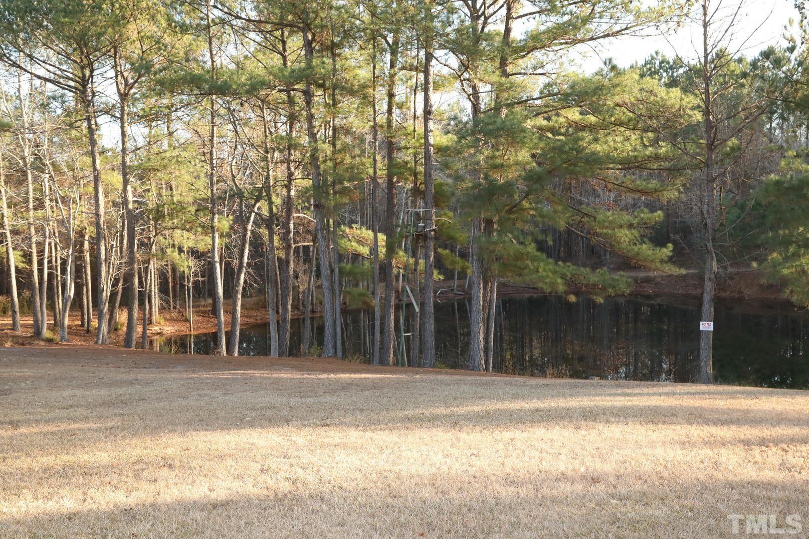 192 Dupree Road Willow Spring, NC 27592 - Photo 10 of 22