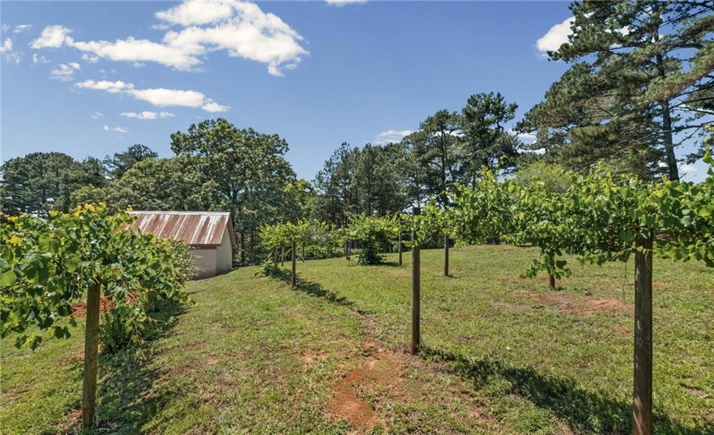 253 Charles Road Canton, GA 30115 - Photo 80 of 90