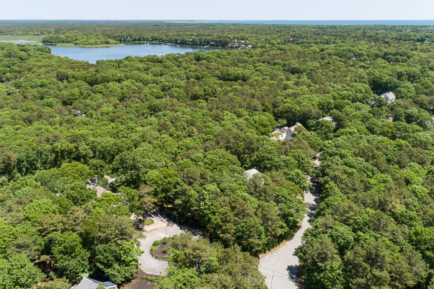 79 Neshobe Road Mashpee, MA 02649 - Photo 9 of 18 a view of a lush green forest with trees in the background