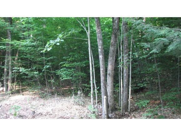 0 Porter Road Porter, ME 04068 - Photo 1 of 1 Gallery Image 1