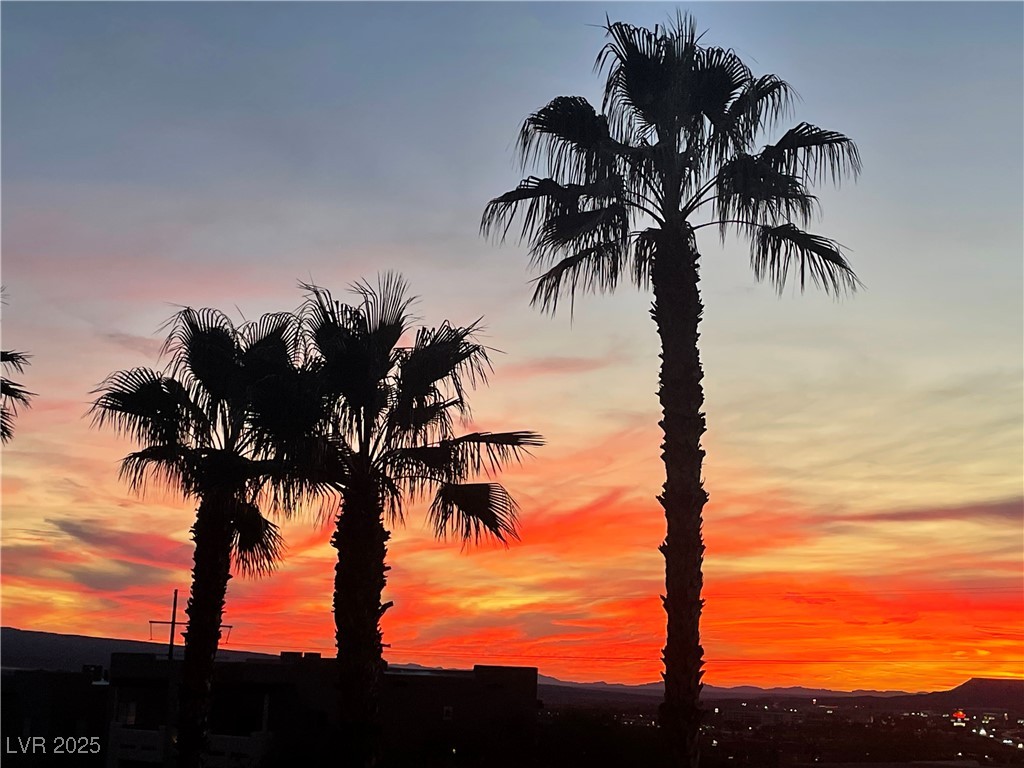518 Turtleback Road, Unit C Mesquite, NV 89027 - Photo 39 of 80 Twilight View