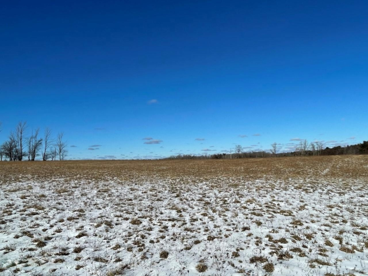 0 Bentoski Road Manistee, MI 49660 - Photo 11 of 13 4