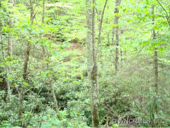 11 Long Branch Road Newland, NC 28657 - Photo 1 of 2 Gallery Image 1