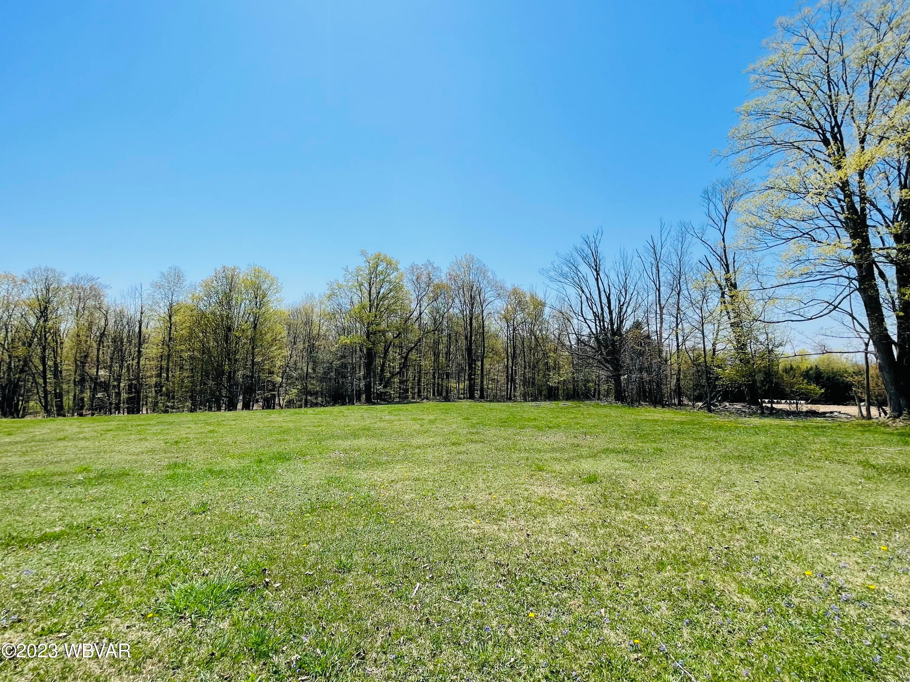 773 Back Road Roaring Branch, PA 17765 - Photo 49 of 50 Gallery Image 49
