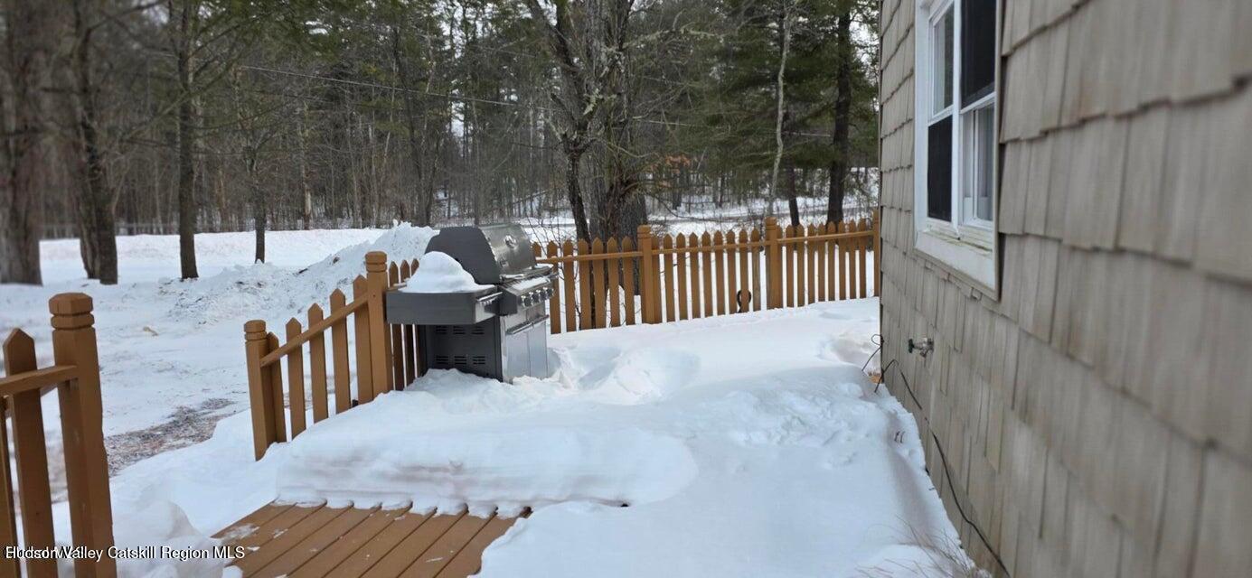 1595 Highway 145 Cairo, NY 12413 - Photo 23 of 32 20260303154856738866000000-o - Copy