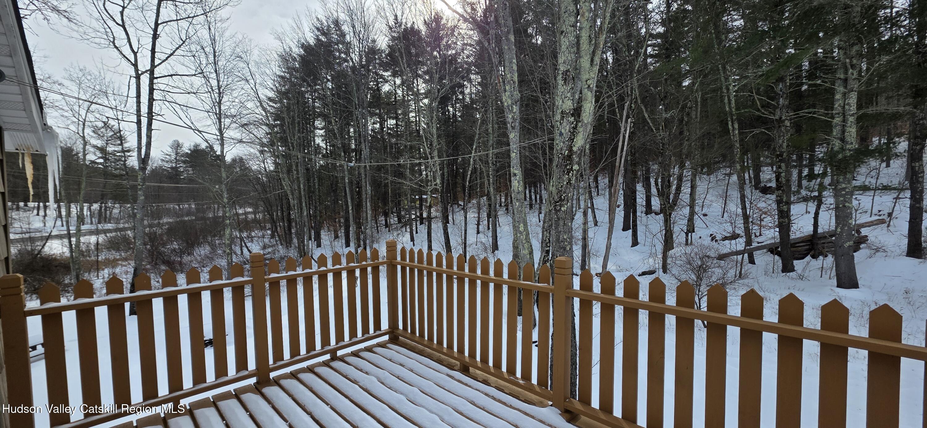 1595 Highway 145 Cairo, NY 12413 - Photo 28 of 32 20260207_103523