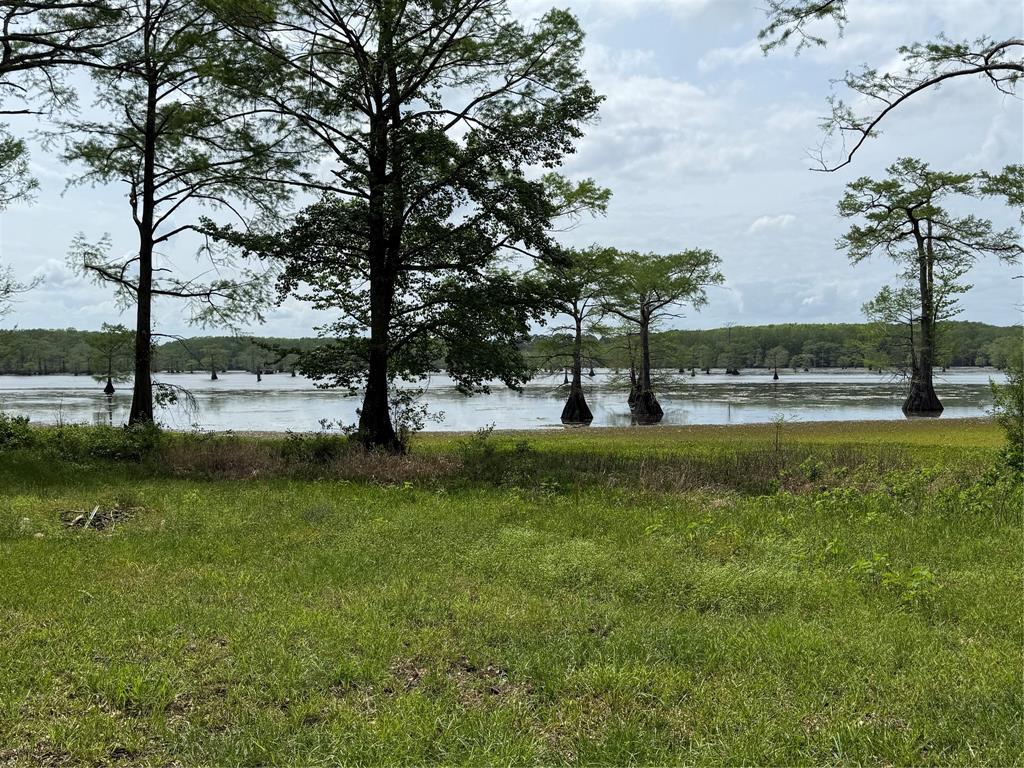 View from the front of the cabin