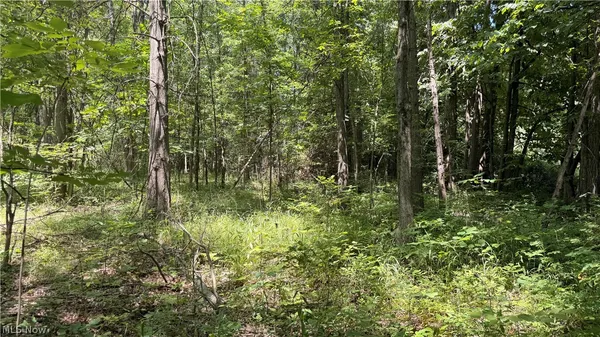 $124,900 | 3359 Helsey Fusselman Road, Southington, OH 44470